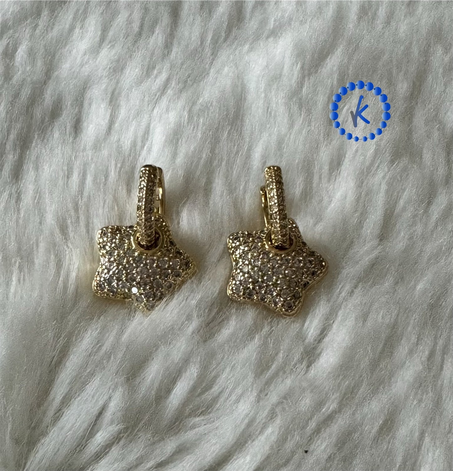 Beautiful and Shiny Hoop Earrings