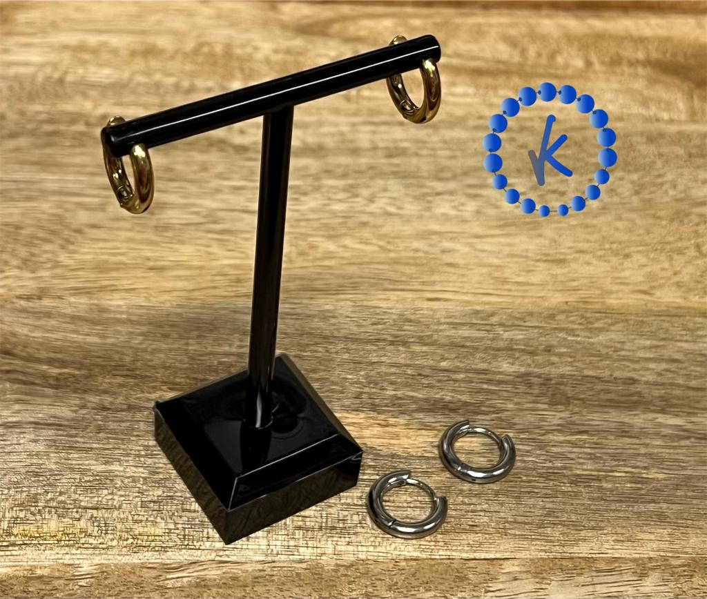Earrings Stainless Steel Hoop