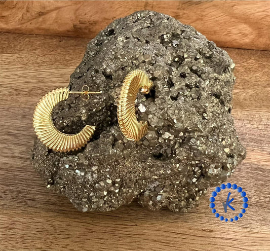 Snail Style Earring